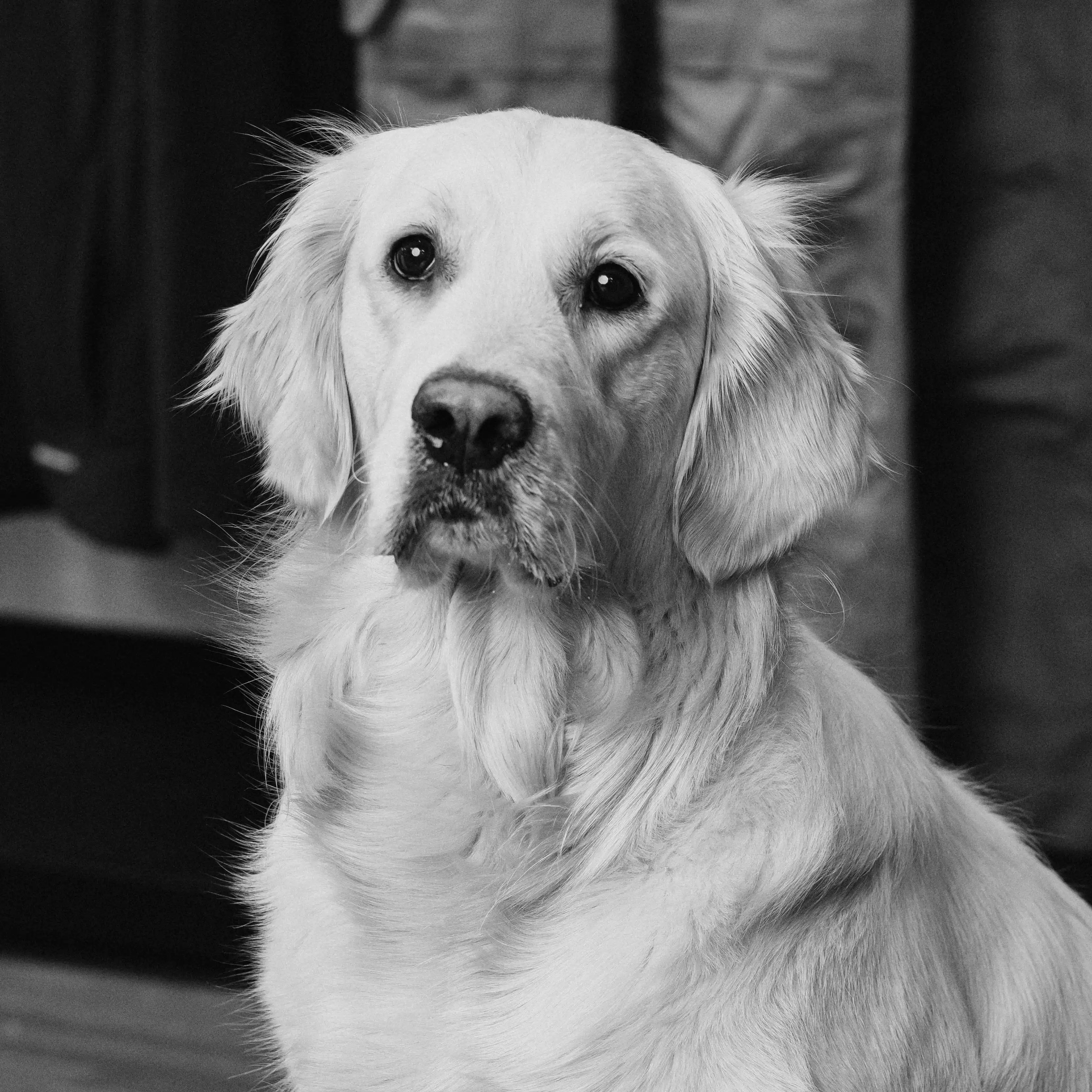 Millie